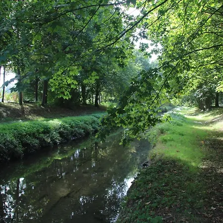 Апартаменты 1